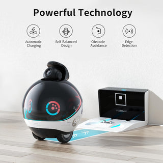 EBO X — Family Companion Robot (4K Gimbal Cam + Voice AI)