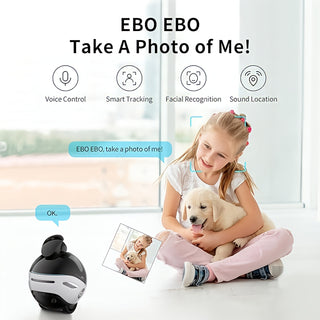 EBO X — Family Companion Robot (4K Gimbal Cam + Voice AI)