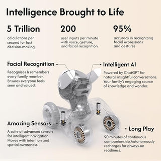 Loona — Smart Companion “Pet” Robot