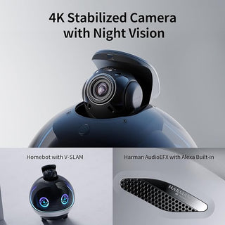 EBO X — Family Companion Robot (4K Gimbal Cam + Voice AI)
